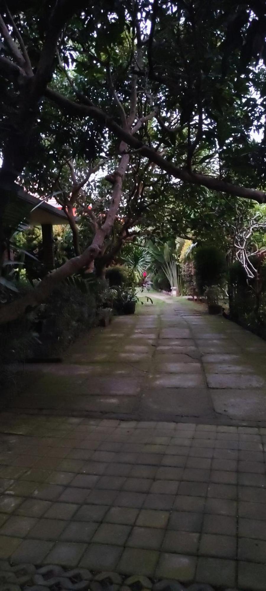 נוסא דואה Mulia Home Stay מראה חיצוני תמונה